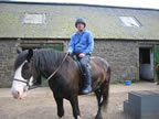 cottage fife horse riding